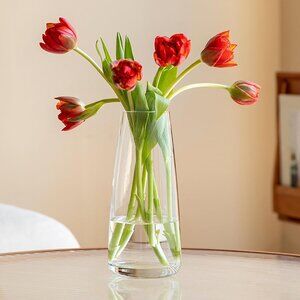 Modern Glass Vase Irised Crystal Clear Glass Vase for Home Office Decor Crystal